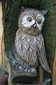 Bayerwald Tierpark_25